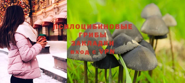СК Бородино