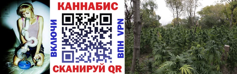 Конопля семена  Красный Кут 